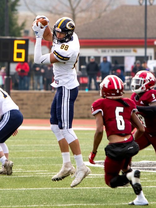 DeWitt Panther Football